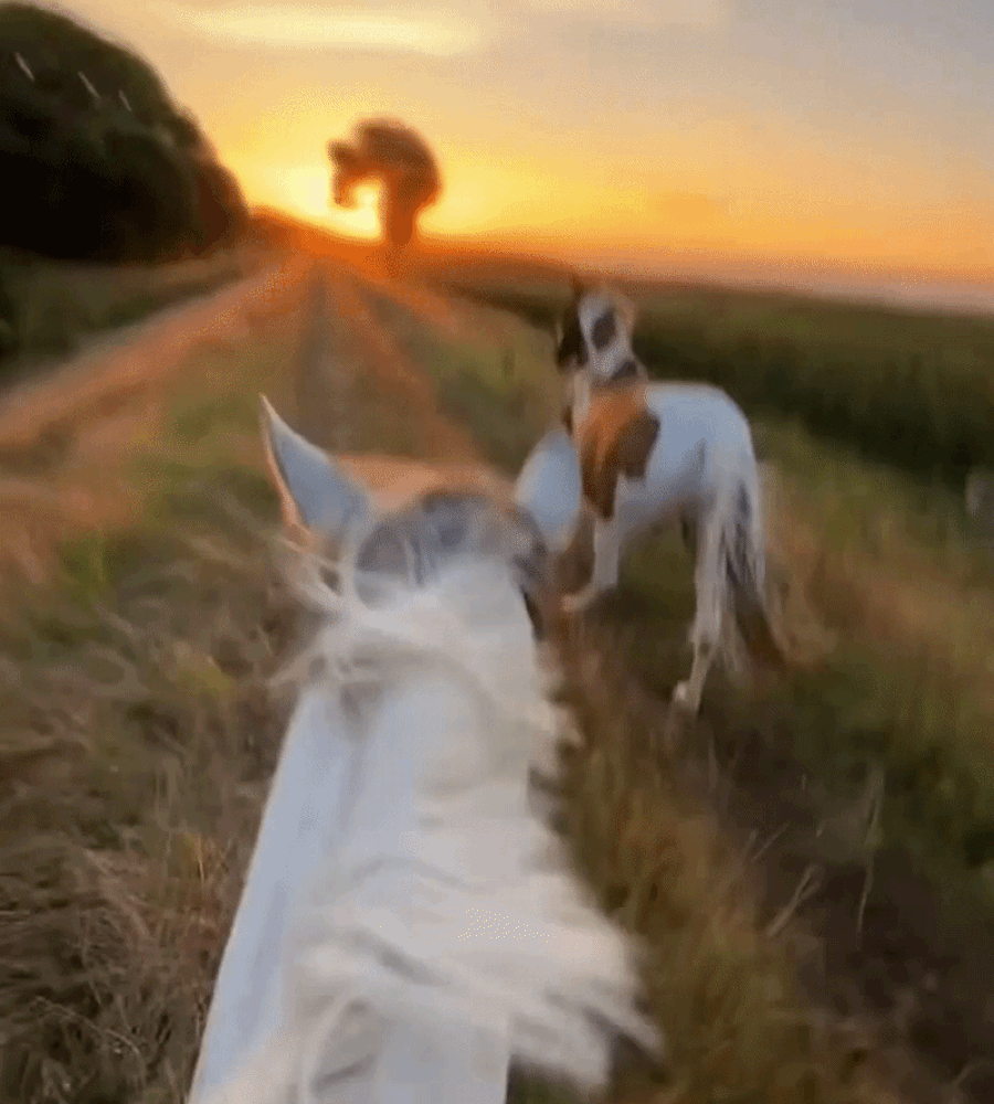 Limitless Vision Pod – 4K Hands-Free POV Camera