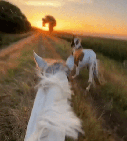 Limitless Vision Pod – 4K Hands-Free POV Camera